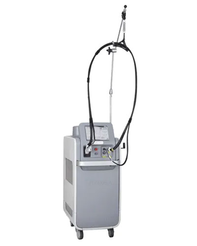 ジェントルレーズ